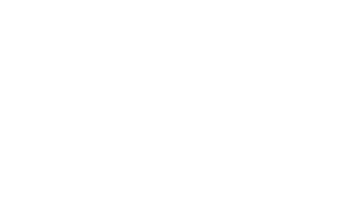 brutalmerica